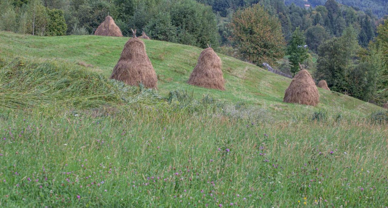 Casa De Vacanta Armi Molidu Luaran gambar